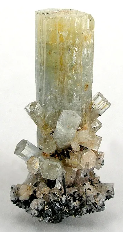 Beryl (Var: Goshenite), Schorl image