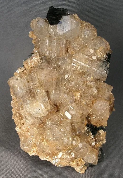 Beryl (Var: Goshenite), Schorl image