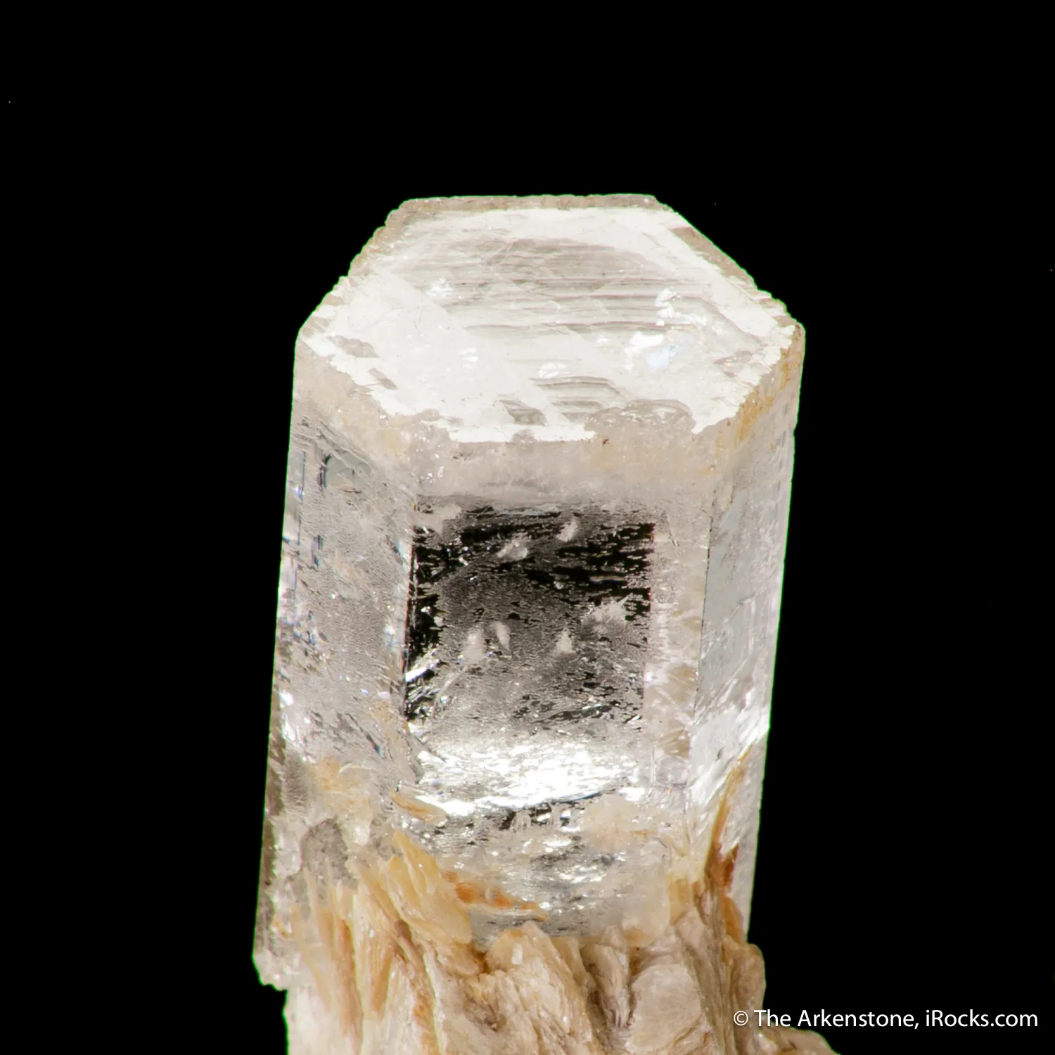Beryl var. Goshenite with Muscovite - image 3