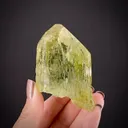 Beryl var. Heliodor - image 2