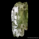 Beryl var. Heliodor - image 3