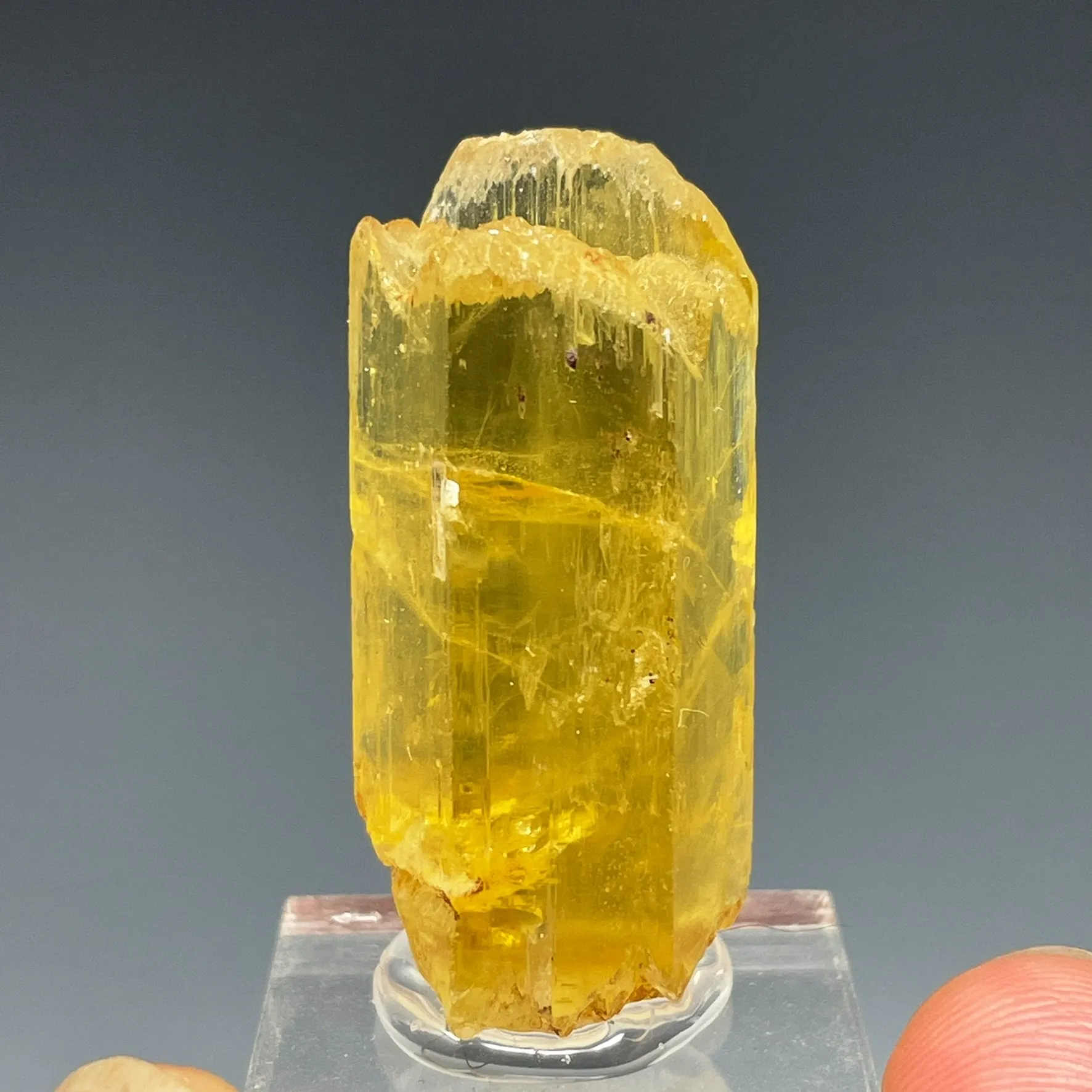 Beryl var. Heliodor - image 1