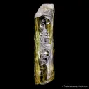 Beryl var. Heliodor - image 3