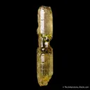 Beryl var. Heliodor - image 2