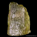 Beryl var. Heliodor - image 2