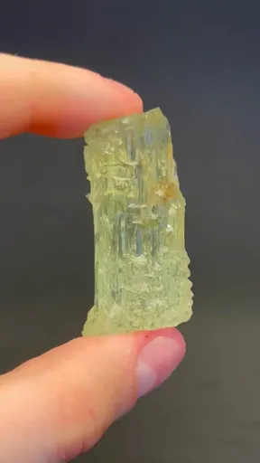 specimen video