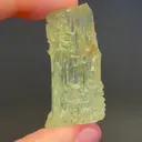 specimen video