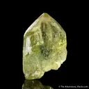 Beryl var. Heliodor - image 5