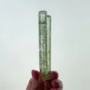 Beryl var. Heliodor with Aquamarine tip - image 2