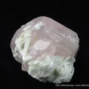 Beryl Var. Morganite - image 2