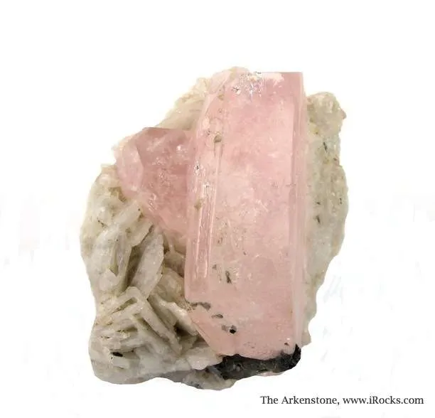 Beryl Var. Morganite - image 5
