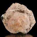 Beryl var. Morganite - image 1