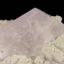 Beryl (Var: Morganite) - image 2