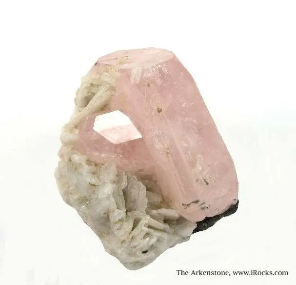 Beryl Var. Morganite - image 4