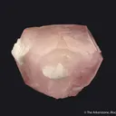 Beryl var. Morganite - image 4