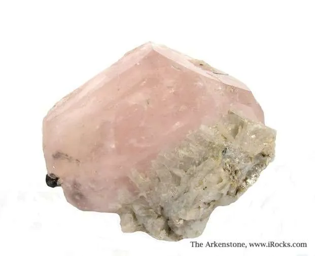 Beryl Var. Morganite image