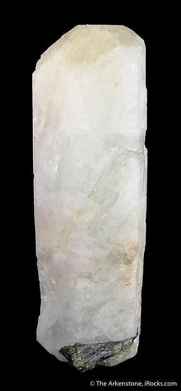 Beryl Var. Morganite image