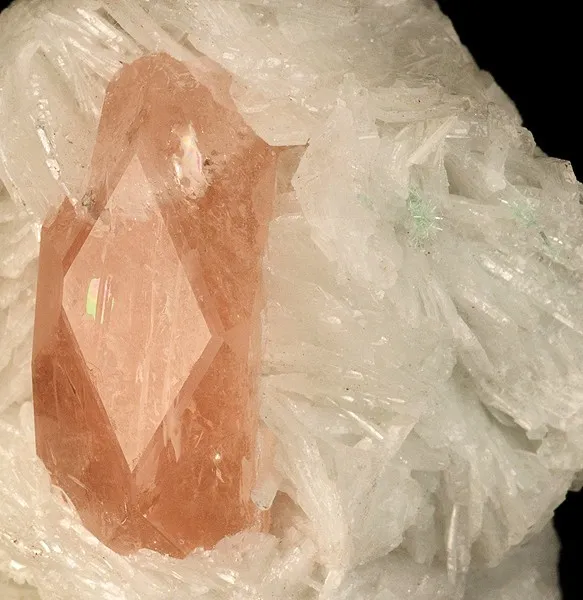Beryl (Var: Morganite), Beryl (Var: Aquamarine), Albite (Var: Cleavelandite) - image 2