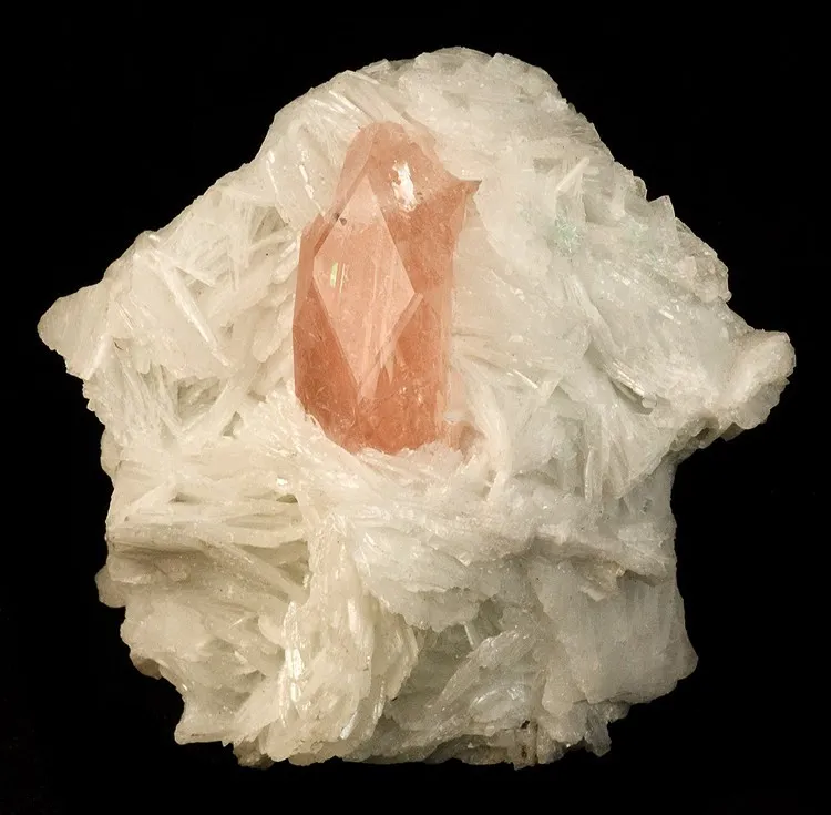 Beryl (Var: Morganite), Beryl (Var: Aquamarine), Albite (Var: Cleavelandite) image