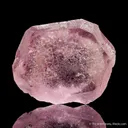 Beryl var. Morganite - image 1