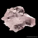 Beryl var. Morganite - image 3