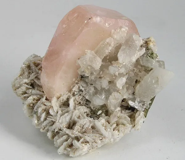 Beryl (Var: Morganite), Elbaite, Albite (Var: Cleavelandite), Quartz image