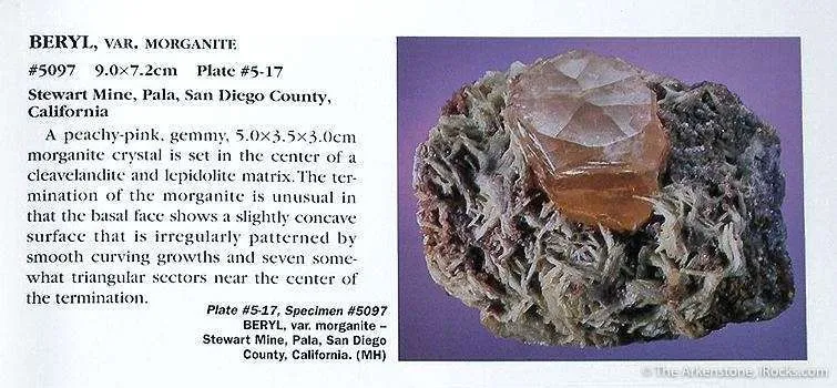 Beryl Var. Morganite (Illustrated in Barlow Book) - image 3