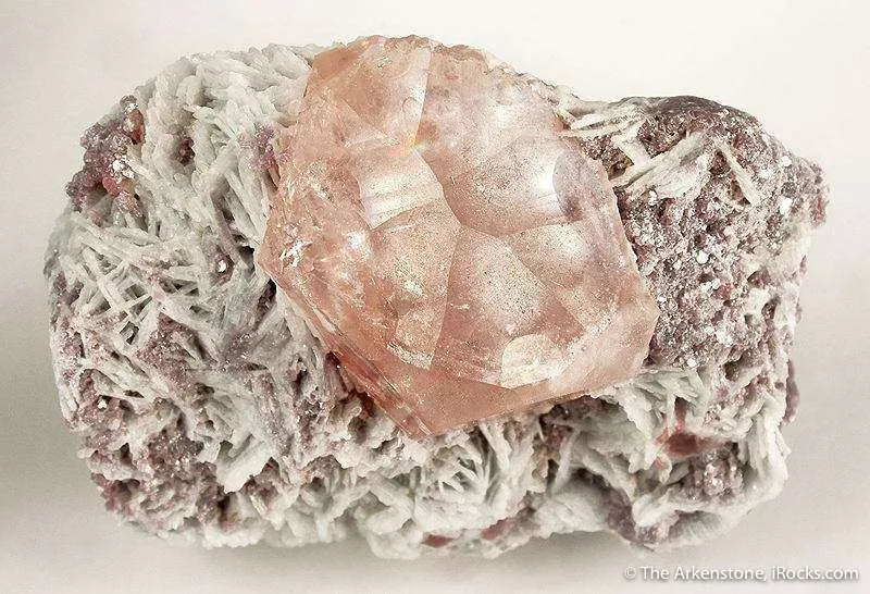 Beryl Var. Morganite (Illustrated in Barlow Book) - image 2