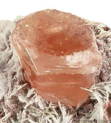 Beryl Var. Morganite (Illustrated in Barlow Book) - image 4