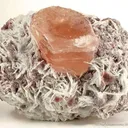 Beryl Var. Morganite (Illustrated in Barlow Book) - image 1