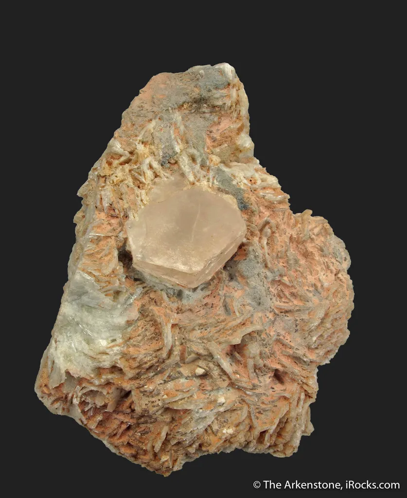 Beryl var. Morganite in Albite and Quartz - image 2