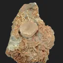 Beryl var. Morganite in Albite and Quartz - image 2