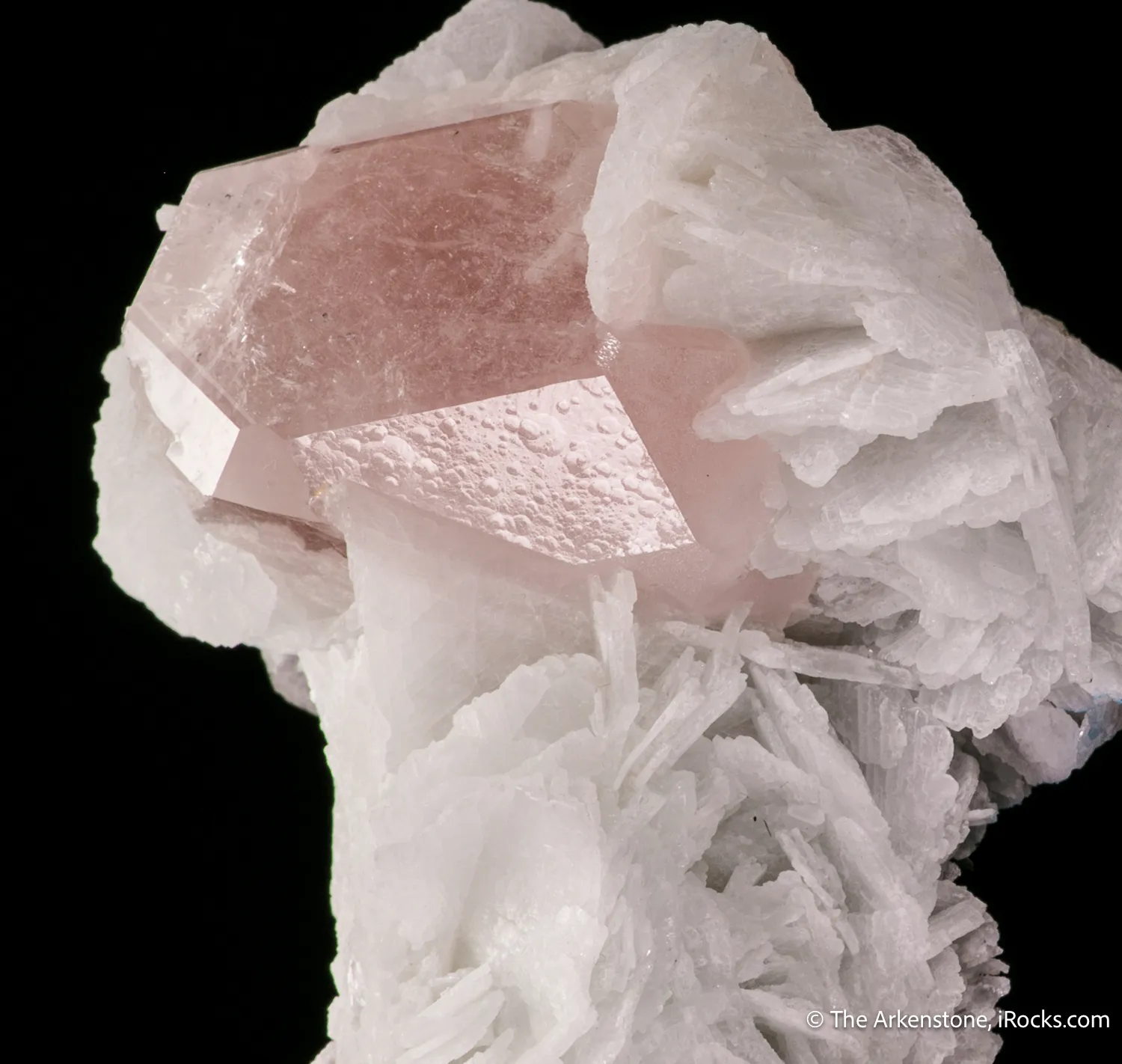 Beryl var. Morganite in Cleavelandite - image 4