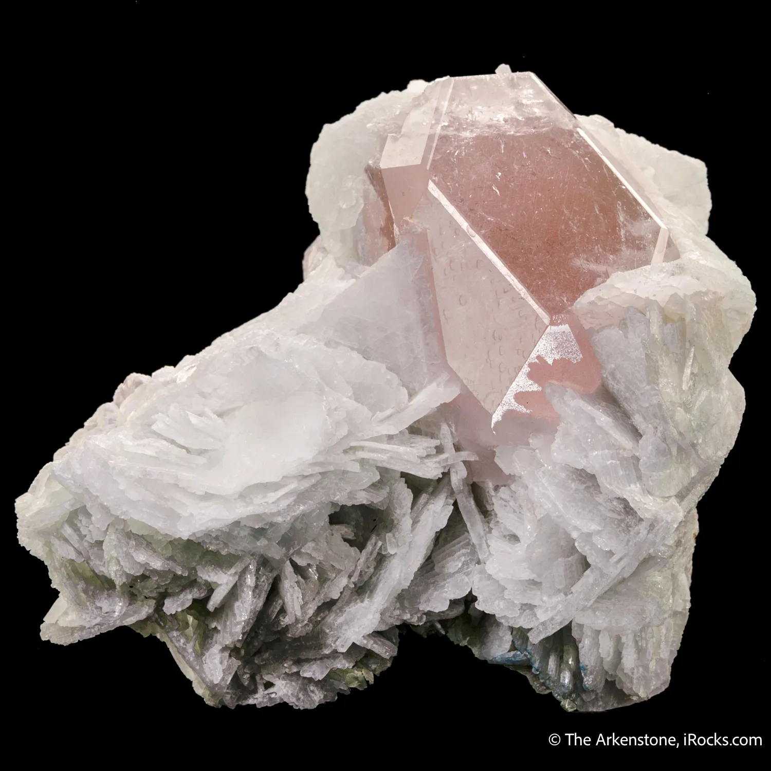 Beryl var. Morganite in Cleavelandite - image 3