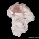 Beryl var. Morganite in Cleavelandite - image 5