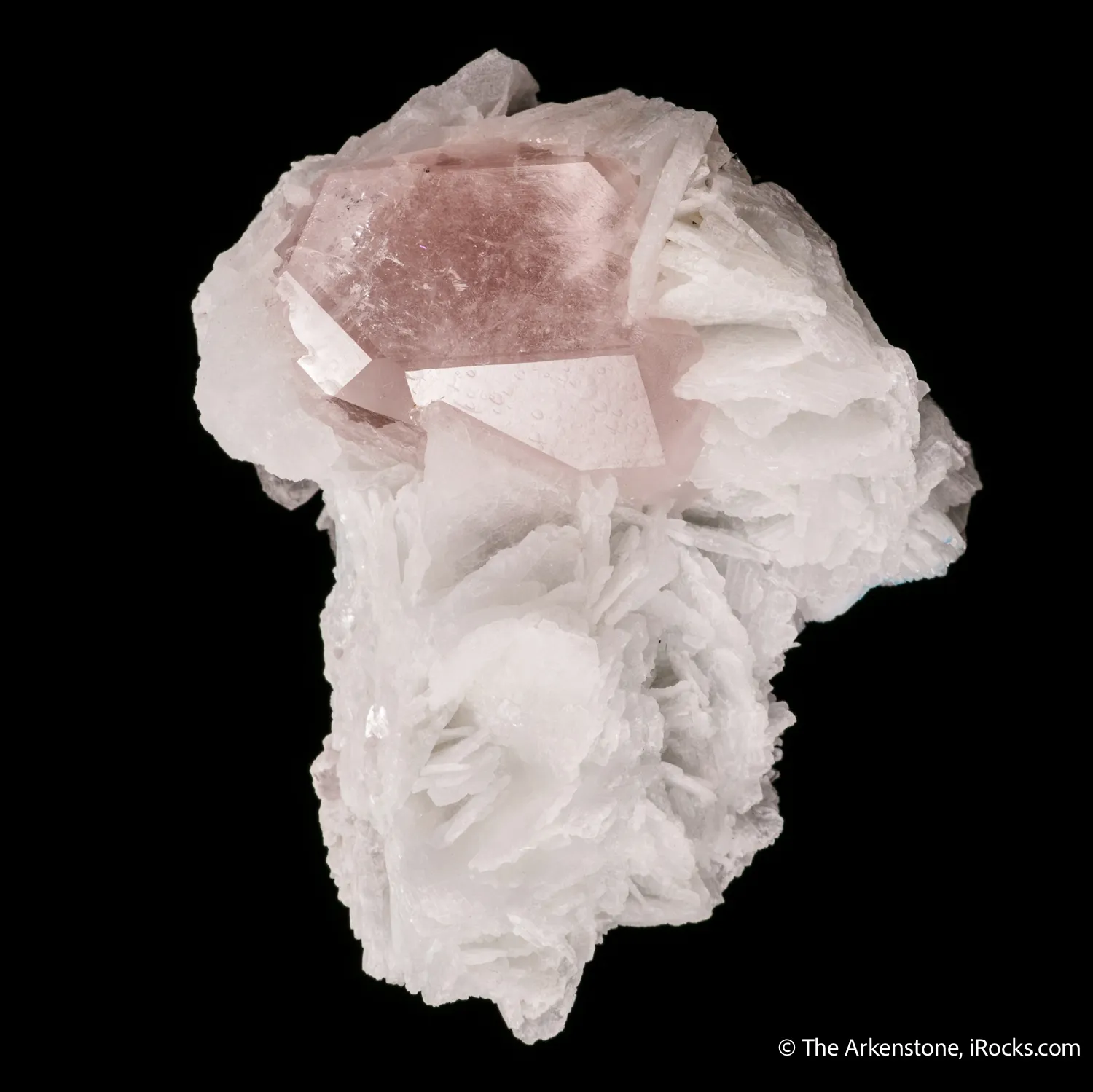 Beryl var. Morganite in Cleavelandite - image 5
