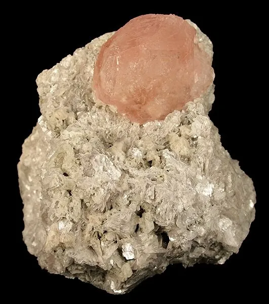Beryl (Var: Morganite), Muscovite image