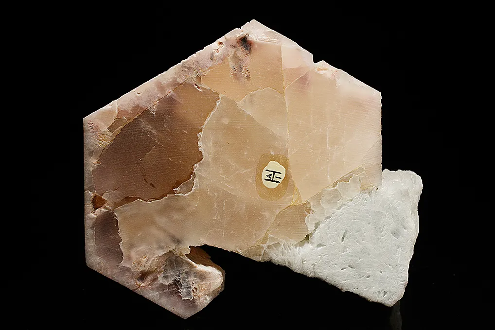 Beryl var. Morganite on Albite var. Cleavelandite and Quartz - image 3