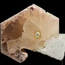 Beryl var. Morganite on Albite var. Cleavelandite and Quartz - image 3