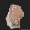 Beryl var. Morganite, on blue Albite (mine owner's collection) - image 2