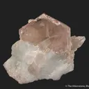 Beryl var. Morganite, on blue Albite (mine owner's collection) - image 1