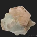 Beryl var. Morganite, on blue Albite (mine owner's collection) - image 5