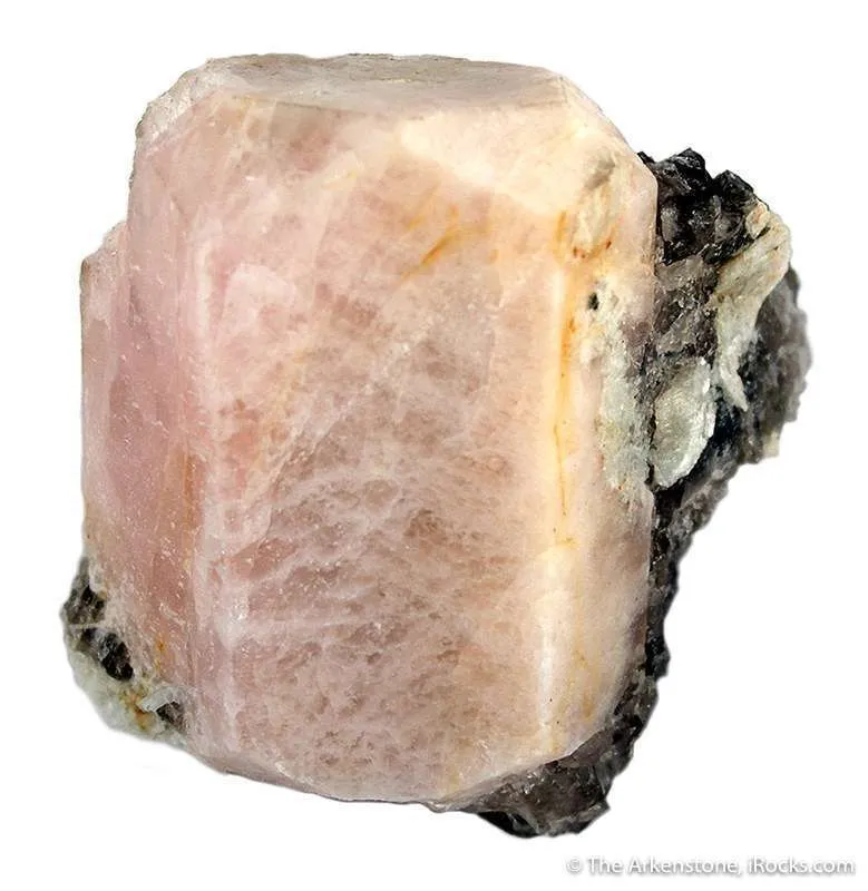 Beryl Var Morganite on Quartz and Muscovite image