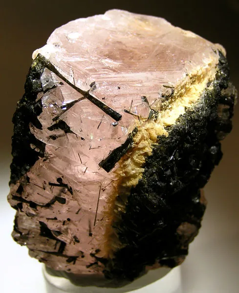 Beryl (Var: Morganite), Schorl image