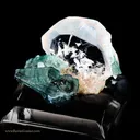Beryl var Morganite - Tourmaline - image 2