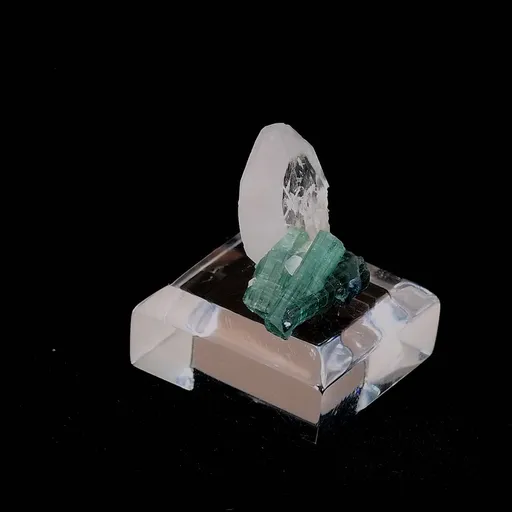 specimen video