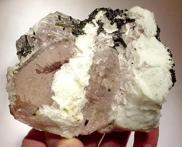 Beryl (Var: Morganite), Tourmaline, Albite image