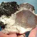 Beryl (Var: Morganite), Tourmaline, Albite - image 2