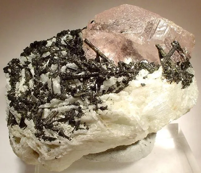 Beryl (Var: Morganite), Tourmaline, Albite image