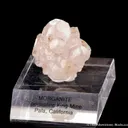 Beryl var. Morganite (very early 1900s) - image 4